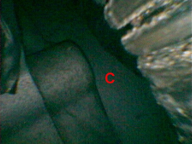bell_housing_bolt_c.jpg