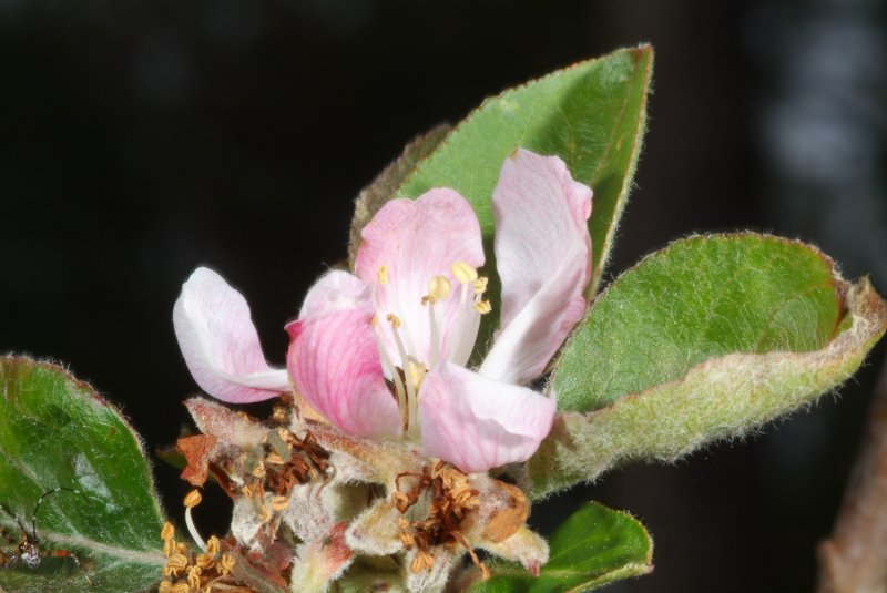 early_spring_2012_02.jpg