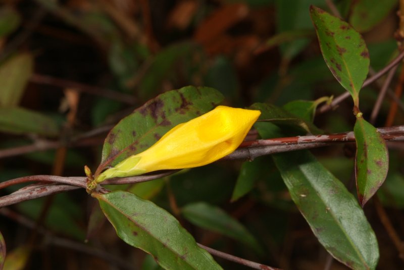 early_spring_2012_04.jpg
