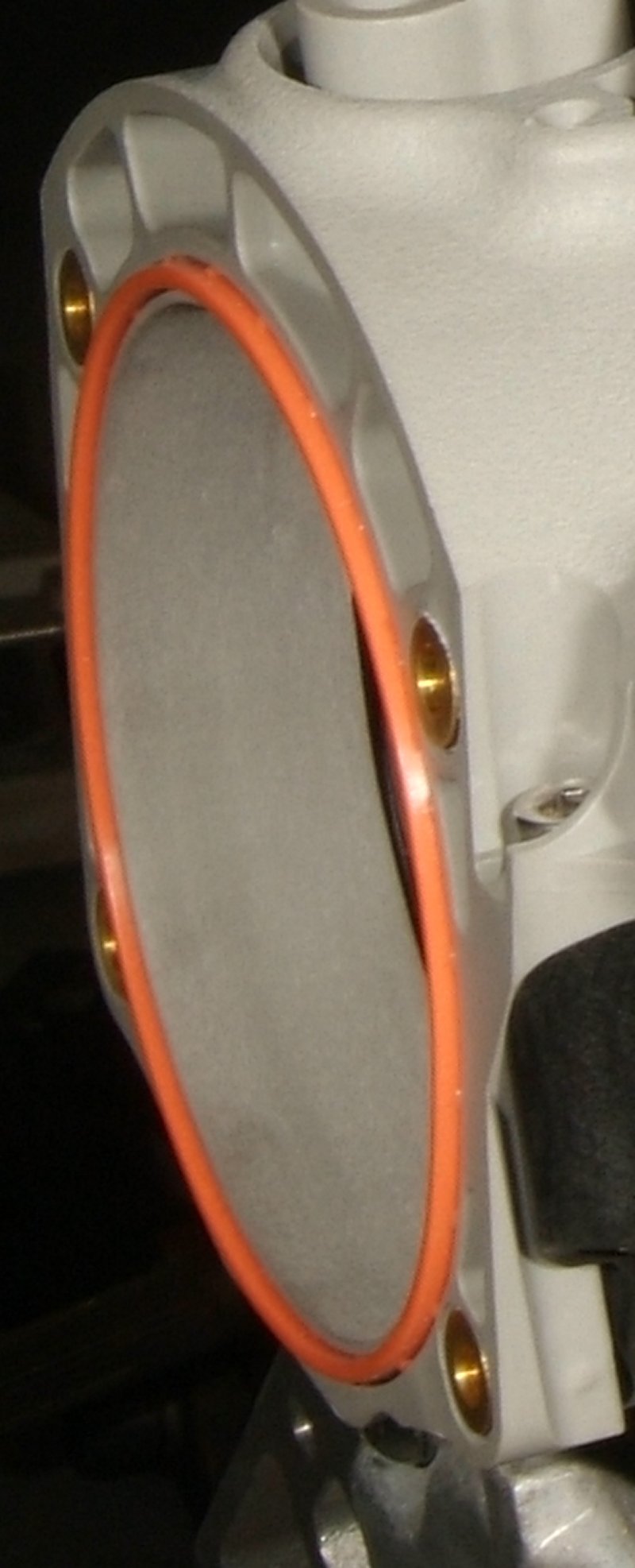 fast_102_012210b.jpg