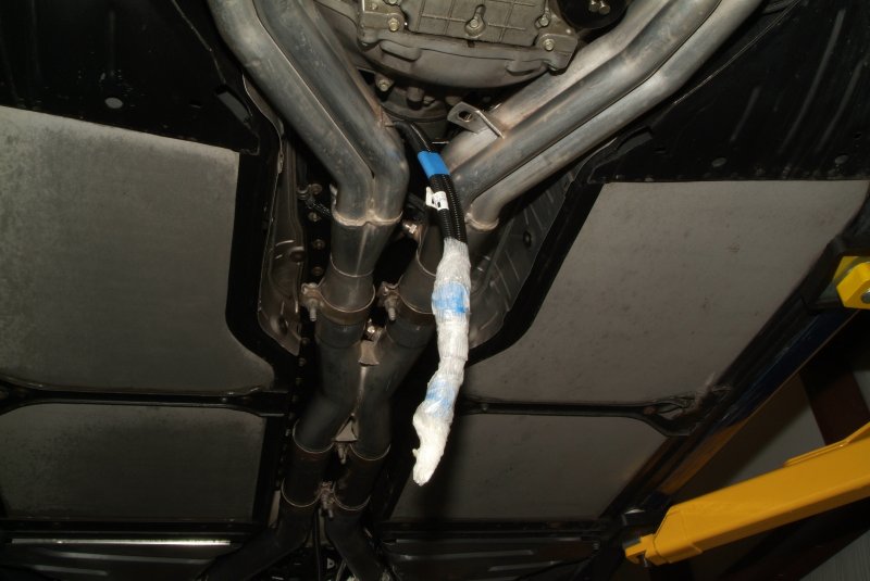 harness_10.jpg