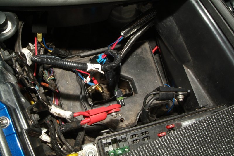 harness_11.jpg