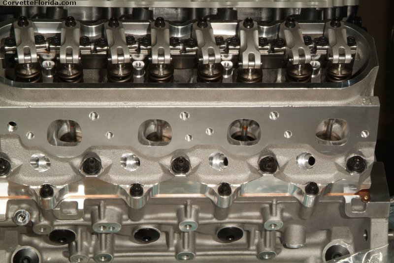 rhs_lxr_04.jpg