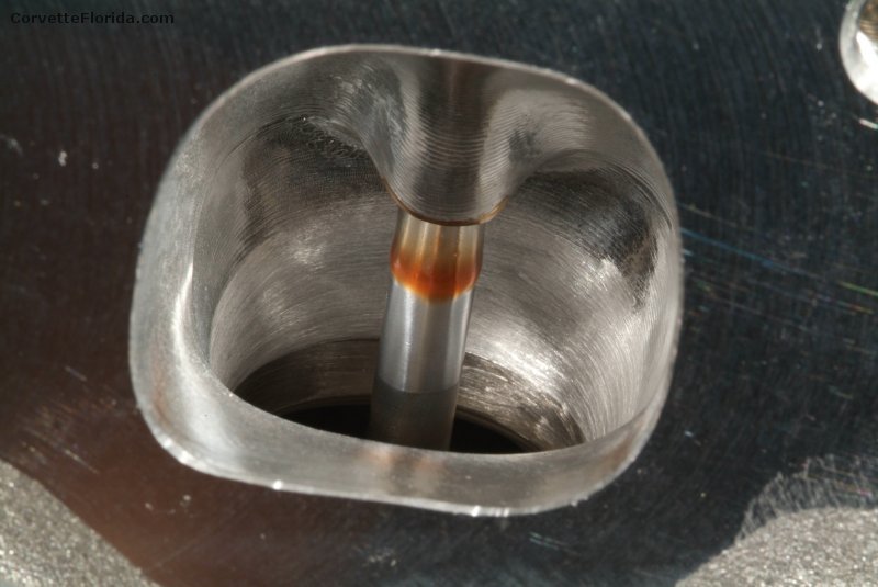 rhs_lxr_07.jpg