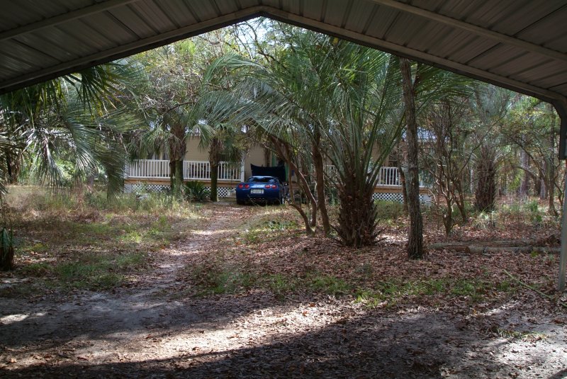 shadetree_01.jpg