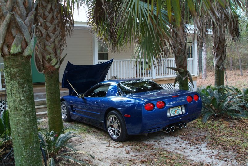 shadetree_02.jpg