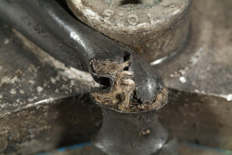 speed_sensor_cable_02.jpg
