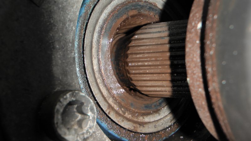 splines_01.jpg