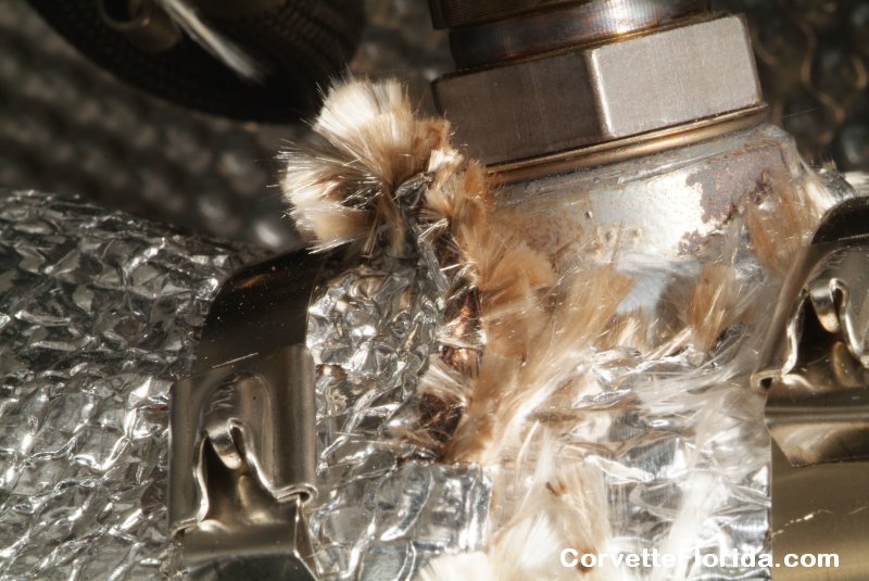 thermo_tec_04.jpg