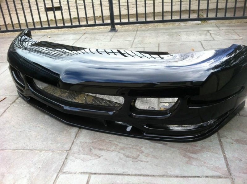 tiger_shark_02.jpg
