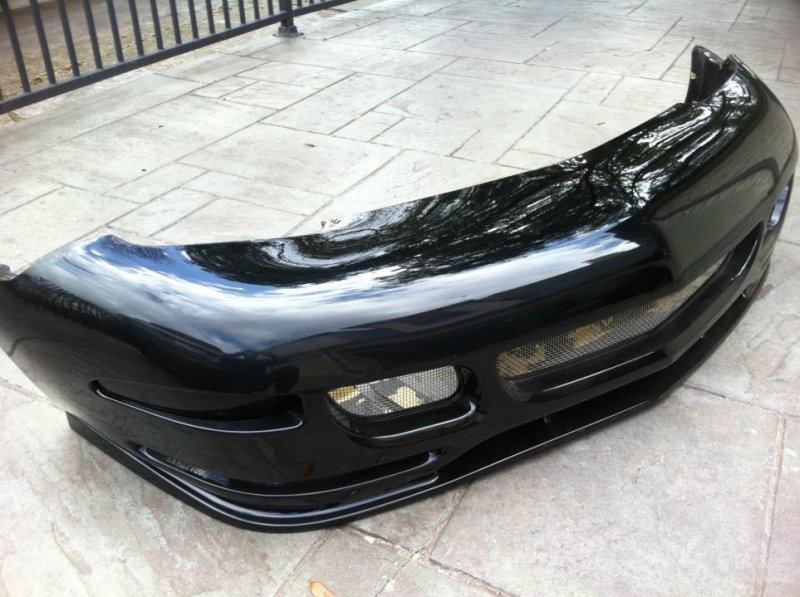 tiger_shark_03.jpg