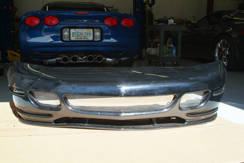 tiger_shark_bumper_01.jpg