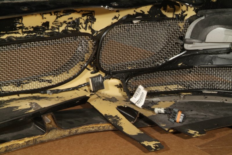 tiger_shark_bumper_05.jpg