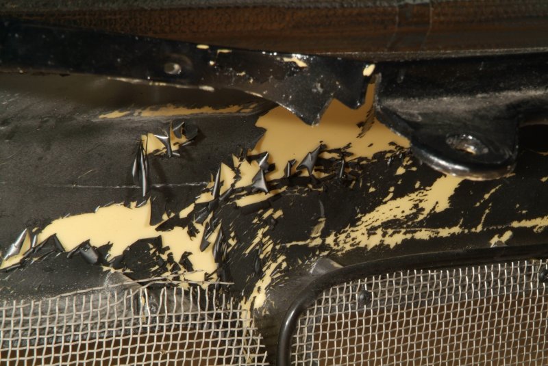 tiger_shark_bumper_06.jpg