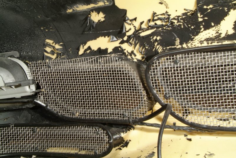 tiger_shark_bumper_08.jpg