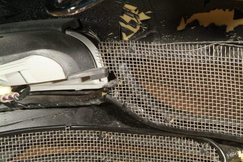 tiger_shark_bumper_12.jpg