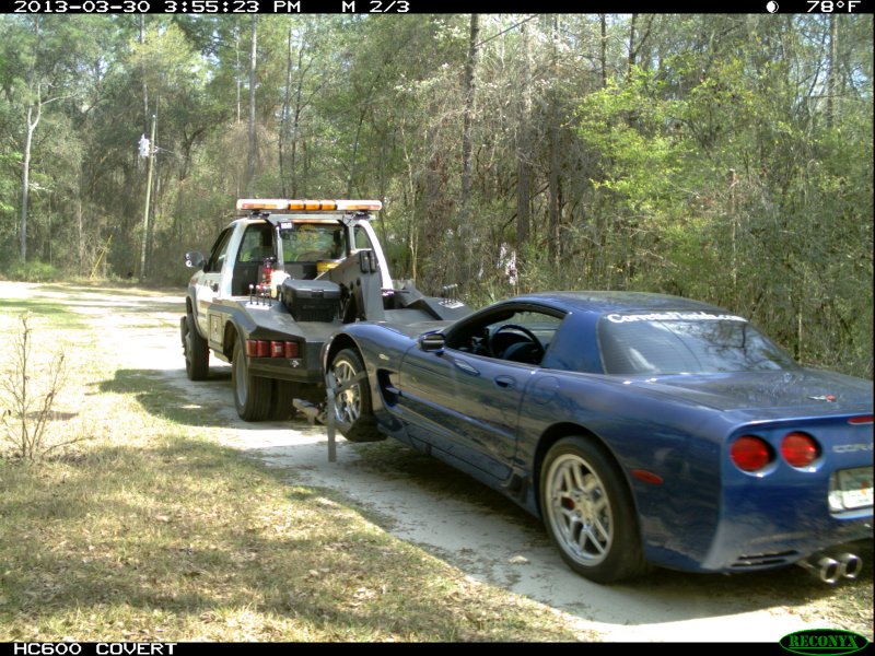 towed_02.jpg
