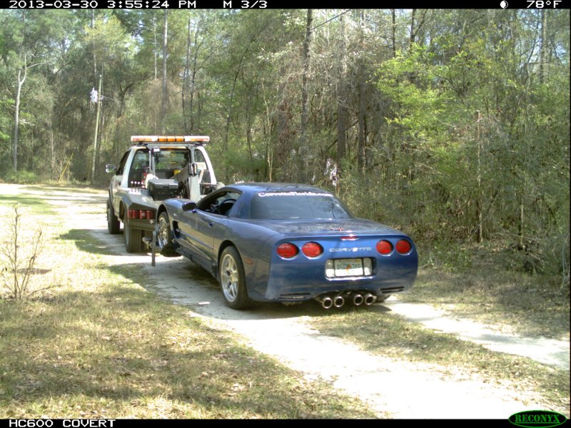 towed_03.jpg