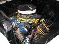 IMG_3547_(Small).JPG