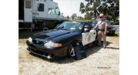 saleen1.jpg