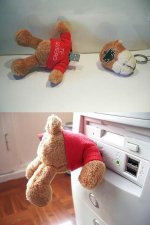 usb_teddy.jpg