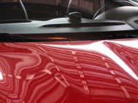 IMG_0045hood resize.jpg