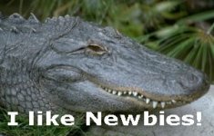 GatorNewbie.jpg