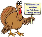 Turkey.jpg