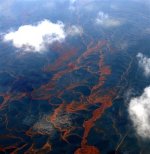 red_oil_005.jpg