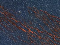 red_oil_007.jpg