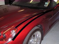 IMG_1267_1_1.jpg