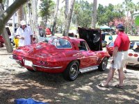 VettesonCircle16 (Small) (Large) (Medium).jpg