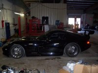 viper02.jpg