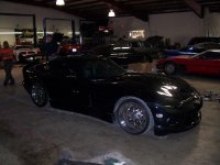 viper03.jpg