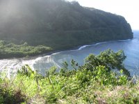 IMG_0080.jpg