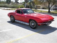 myvet2 (Small) (Large) (Medium).jpg