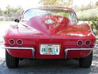 myvet8 (Small) (Medium).jpg