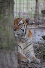 DSC_6851.JPG