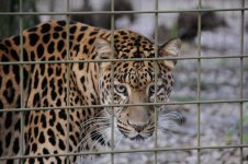 DSC_6889.JPG