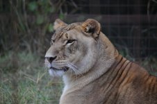 DSC_6905.JPG