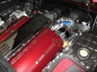 IMG_0915.jpg