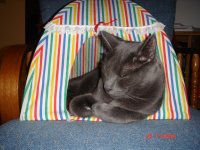 smudge 009.jpg