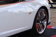 DSC_1960.JPG