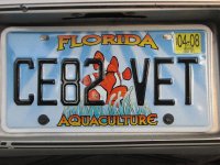 IMG_0975a.jpg