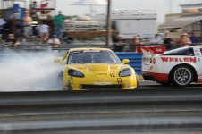DSC_2246.JPG