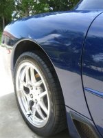 IMG_4078.JPG
