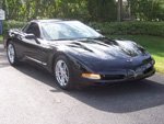 vette.jpg