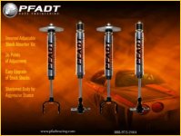 pfadt-sport-shock.jpg