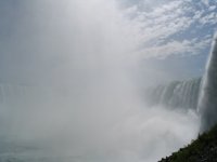 IMG_2064.jpg