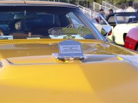 Cypress Gardens Vette Show 035.jpg